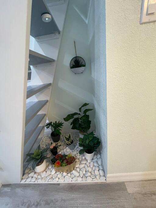 The Tiny Cottage In The Springs/ Central Fl Altamonte Springs Esterno foto