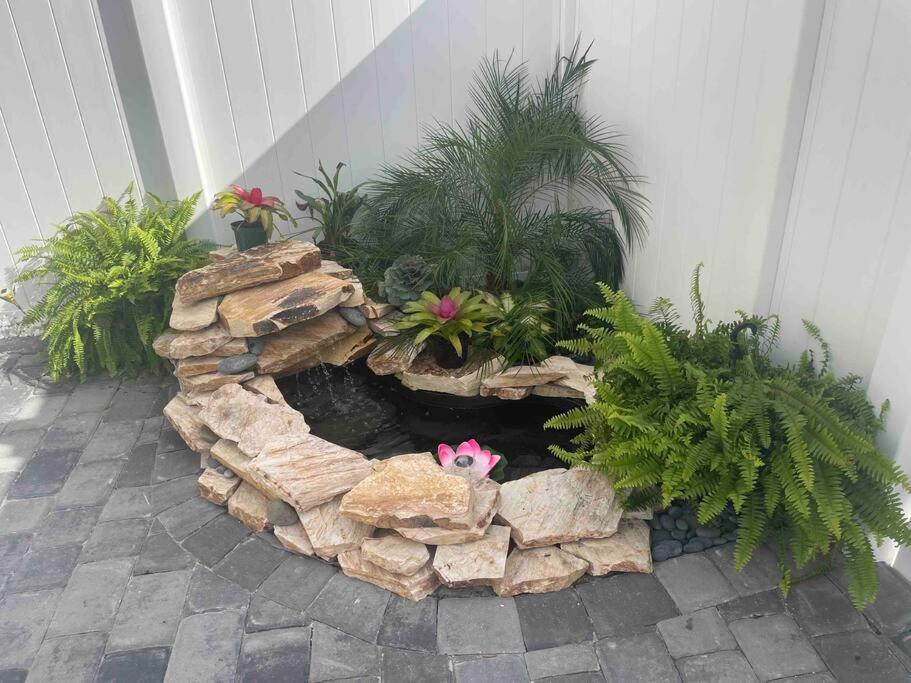 The Tiny Cottage In The Springs/ Central Fl Altamonte Springs Esterno foto